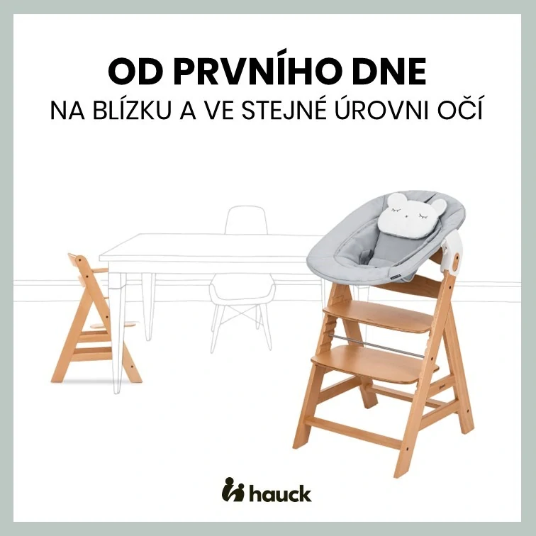 Hauck Alpha+ dřevěná židle+novorozenecký set Pre, 0m+, Nature Grey
