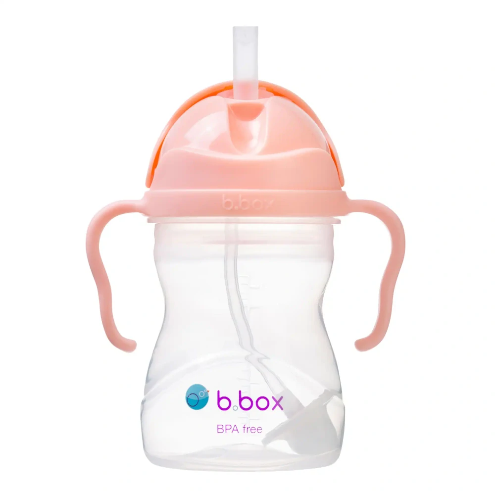 b.box Hrneček s brčkem 240ml GELATO tutti frutti