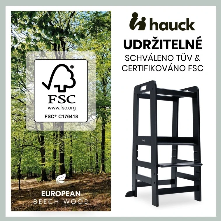 Hauck Učící věž Learn N Explore black
