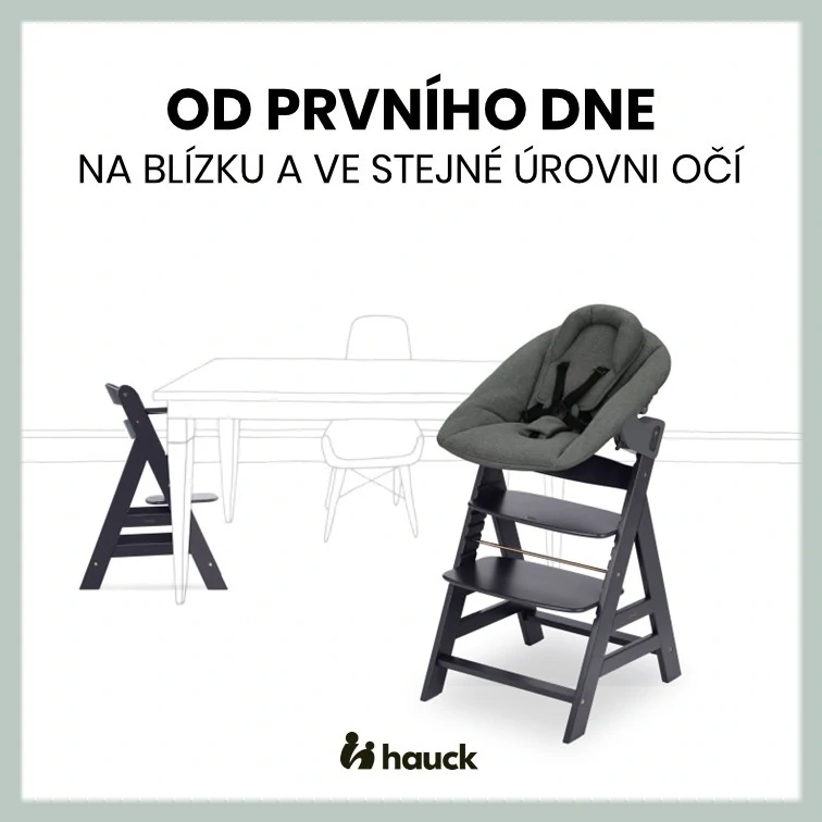 Hauck Alpha+ dřevěná židle+novorozenecký set polohovací, 0m+, Dark Grey