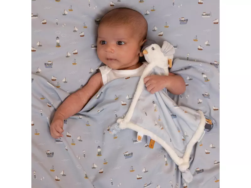 Little Dutch muchláček racek Námořnický záliv