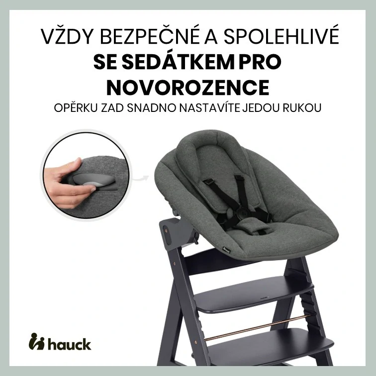 Hauck Alpha+ dřevěná židle+novorozenecký set polohovací, 0m+, Dark Grey