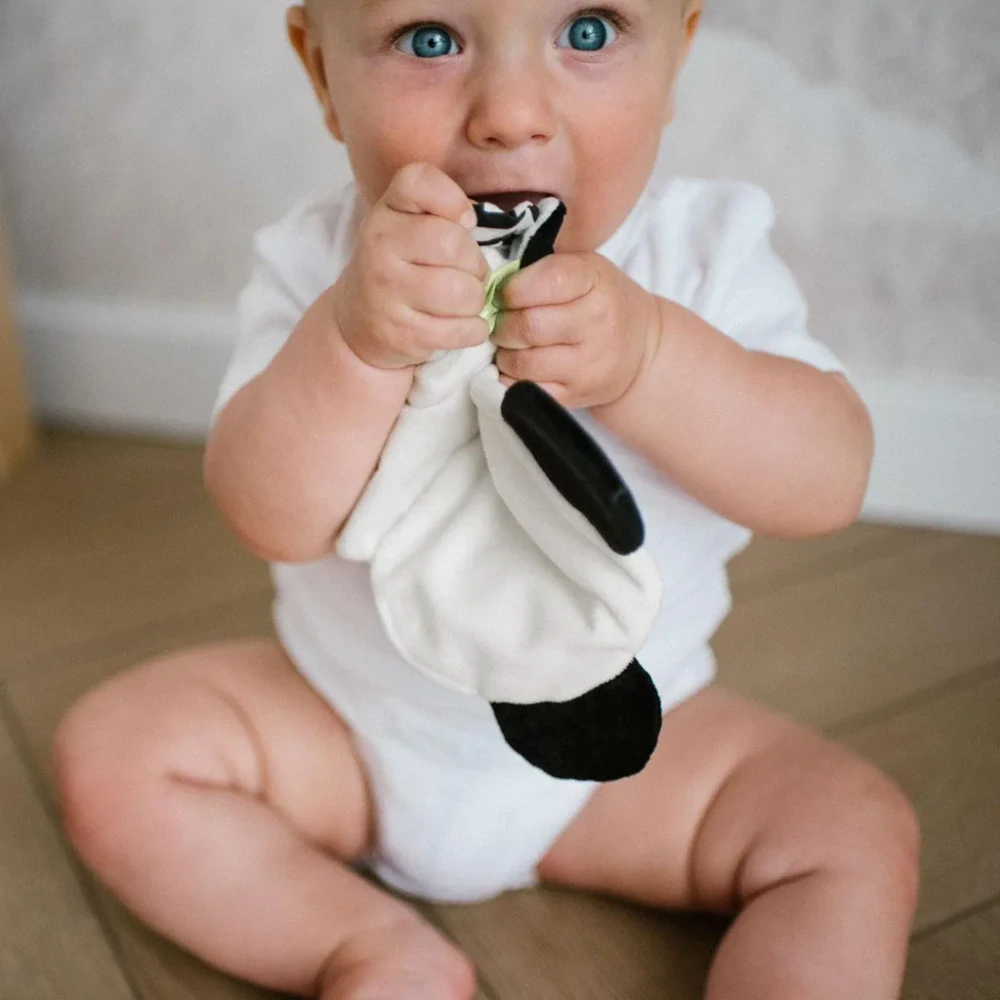 BABYONO Hračka šustící Panda Polly