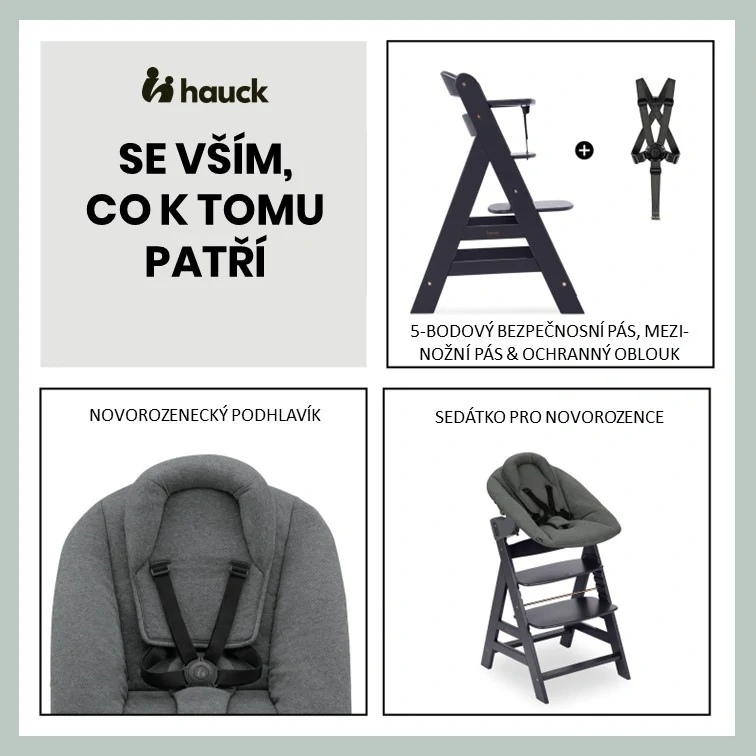 Hauck Alpha+ dřevěná židle+novorozenecký set polohovací, 0m+, Dark Grey