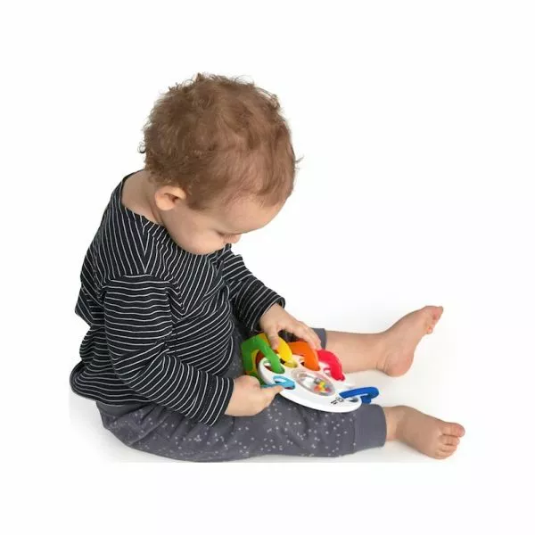 BABY EINSTEIN Kousátko s hrkačkou s C kroužky Shake, Rattle & Soothe™ 0m+
