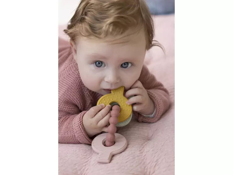 Little Dutch kousátko silikonové klíče růžové
