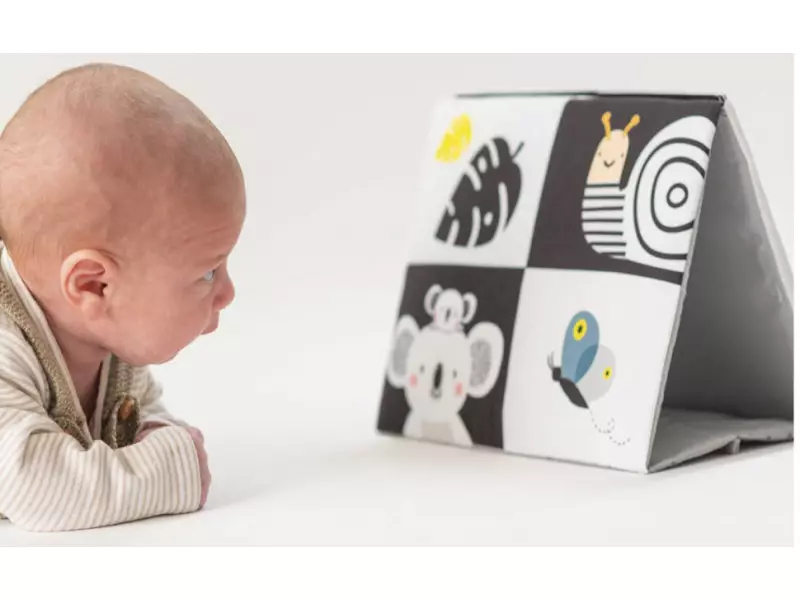 Taf Toys knížka pro hru na bříšku se zrcátkem 