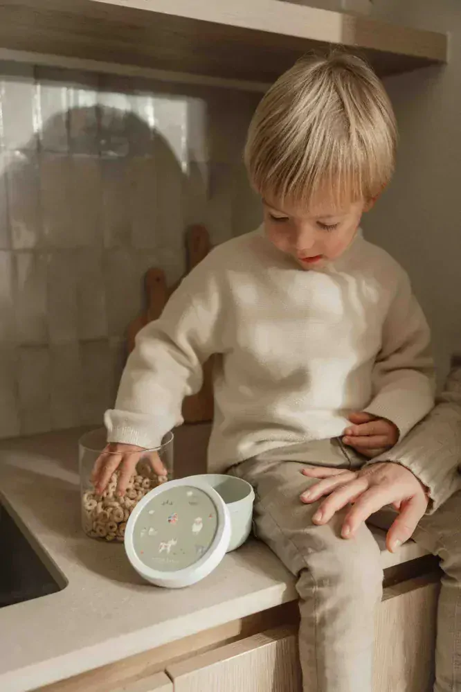 Little Dutch Box na ovoce s vidličkou Farma