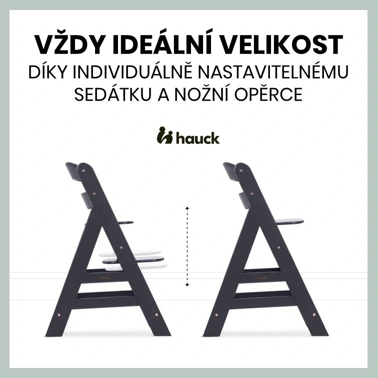 Hauck Alpha+ dřevěná židle+novorozenecký set polohovací, 0m+, Dark Grey