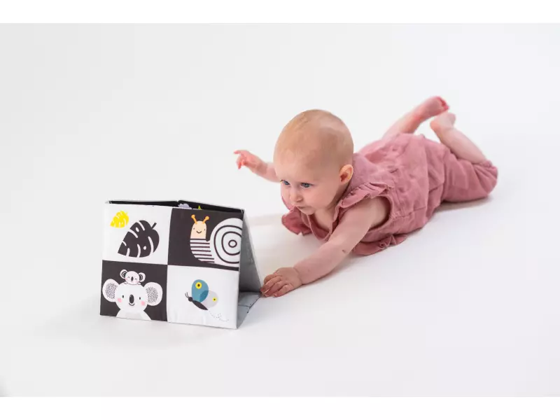 Taf Toys knížka pro hru na bříšku se zrcátkem 