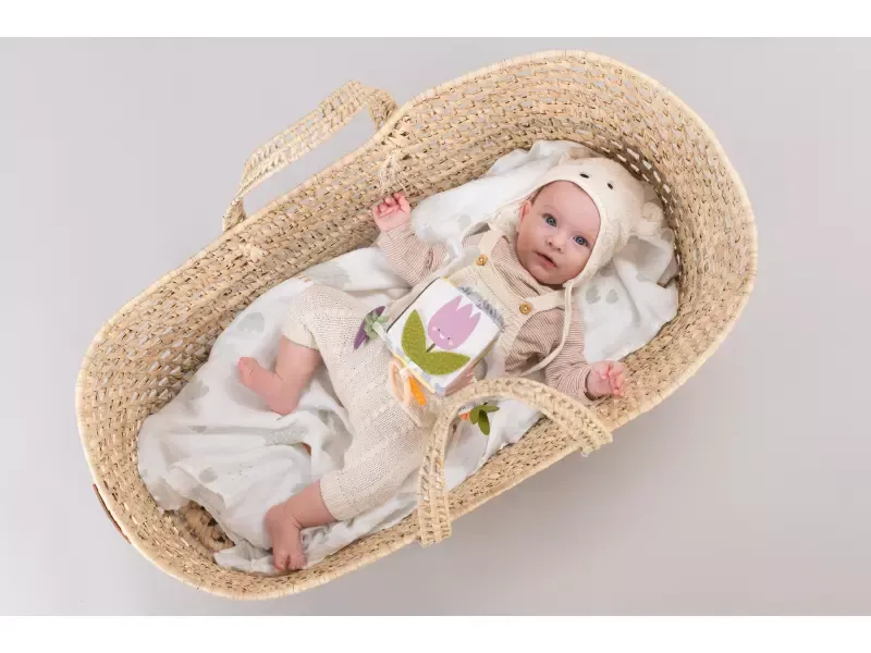 Taf Toys Kostka Zahrada