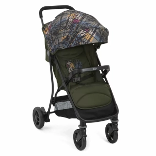 Sportovní kočárek Graco Breaze Lite™ 2 Couture Fern