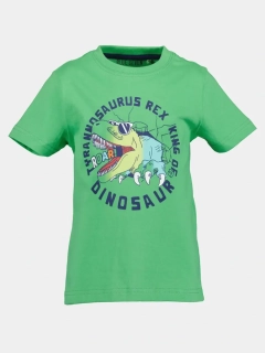 Chlapecké tričko krátký rukáv Blue Seven 802314 Dinosauři
