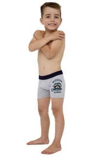 Chlapecké boxerky Cornette Young Mission2 700/138