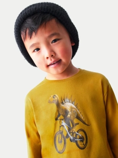 Chlapecké triko dlouhý rukáv Dinosaur Mayoral 4087-30  okrové